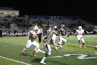 October 11 2019 IMG_2955982